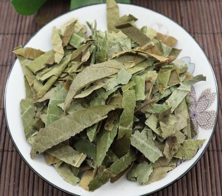 很多“阳过”的人都不知道，枇杷叶除了煮水喝，还有哪些使用方法(枇杷叶煮水外洗的功效)